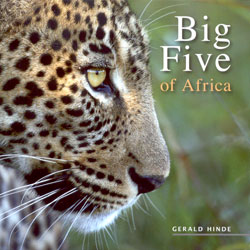BIG FIVE OF AFRICA 1