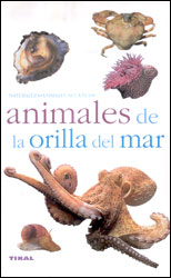 ANIMALES DE LA ORILLA DEL MAR 1