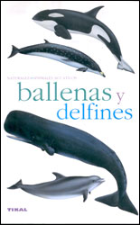 BALLENAS Y DELFINES 1
