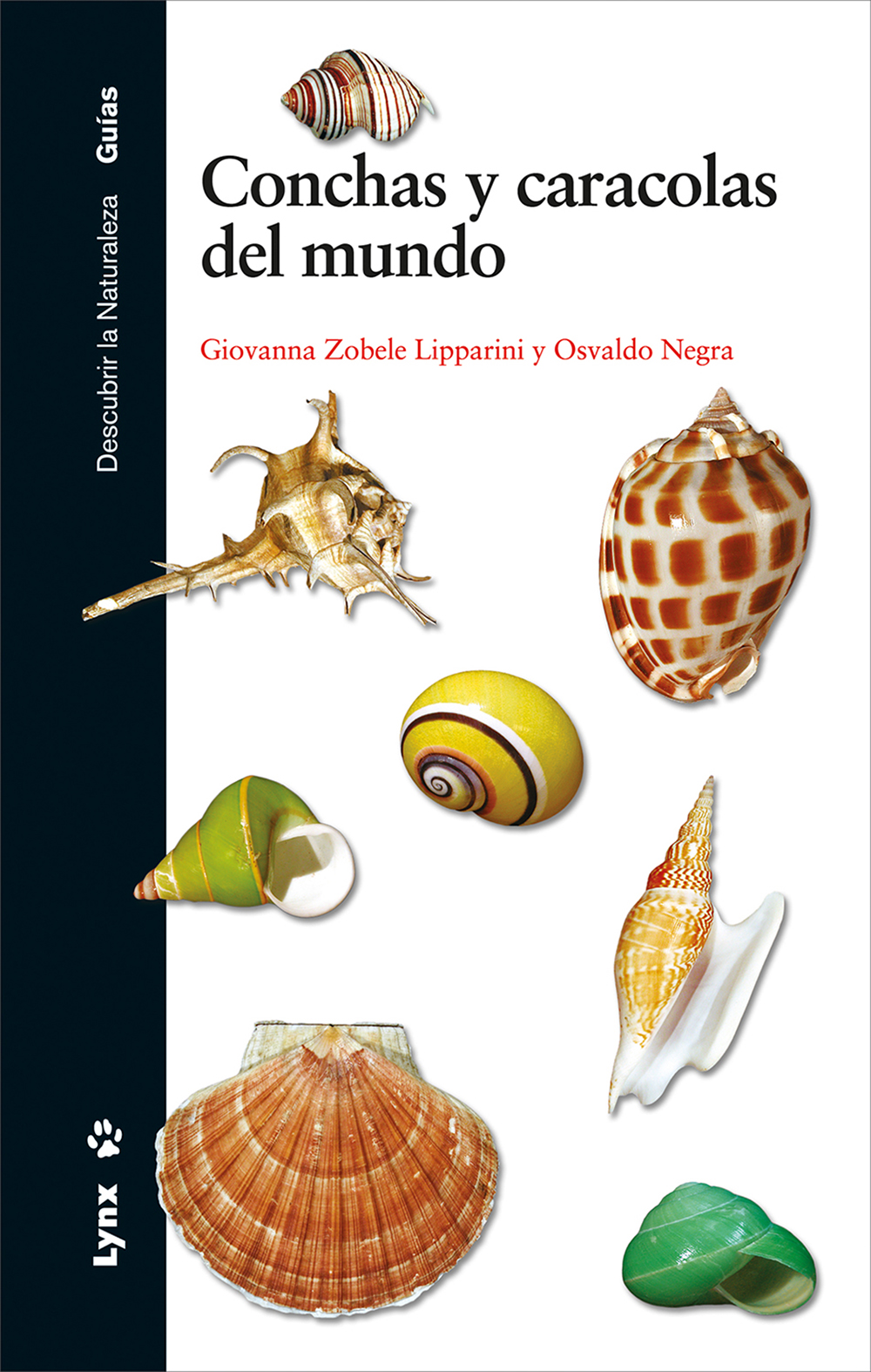 CONCHAS Y CARACOLAS DEL MUNDO 1