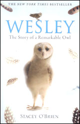 WESLEY. THE STORY OF A REMARKABLE OWL 1