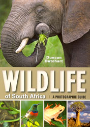 WILDLIFE OF SOUTH AFRICA. A PHOTOGRAPHIC GUIDE 1