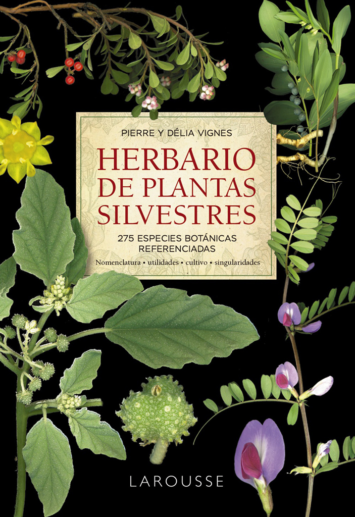HERBARIO DE PLANTAS SILVESTRES. 275 ESPECIES BOTÁNICAS REFERENCIADAS. NOMENCLATURA, UTILIDADES, DESCRIPCIÓN, SINGULARIDADES 1