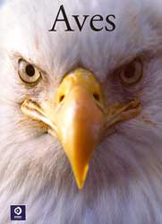 AVES 1