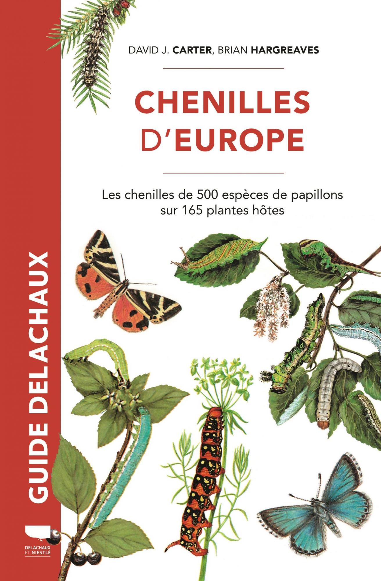 GUIDE DELACHAUX. CHENILLES D'EUROPE: LES CHENILLES DE PLUS DE 500 ESPÈCES DE PAPILLONS SUR 165 PLANTES HÔTES 1