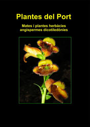 PLANTES DEL PORT VOL. 2 MATES I PLANTES HERBÀCIES, ANGIOSPERMES DICOTILEDÒNIES 1