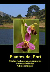 PLANTES DEL PORT VOL. 3 PLANTES HERBÀCIES, ANGIOSPERMES MONOCOTILEDÒNIES, ARBRES SINGULARS 1