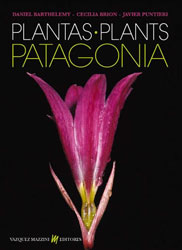 PLANTAS -  PLANTS PATAGONIA 1