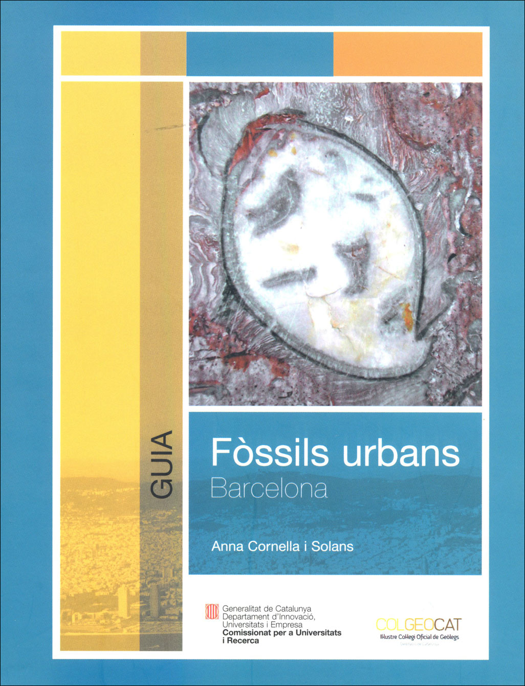 FÒSSILS URBANS DE BARCELONA 1