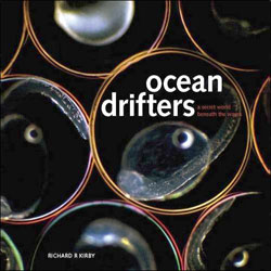 OCEAN DRIFTERS A SECRET WORLD BENEATH THE WAVES 1