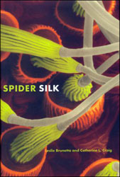 SPIDER SILK 1