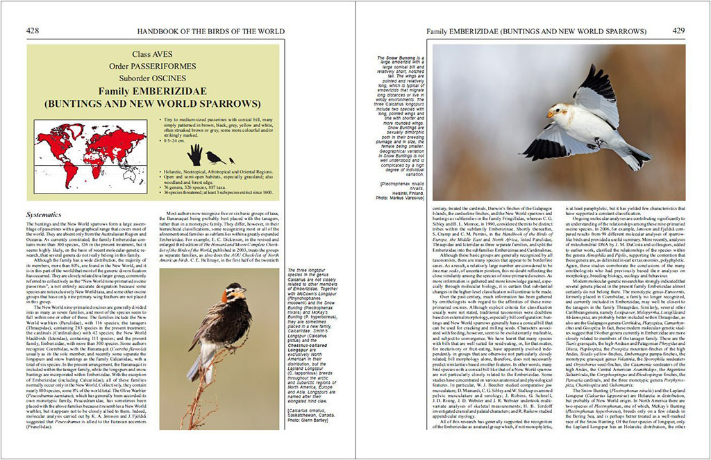 HANDBOOK OF THE BIRDS OF THE WORLD, VOL. 16. TANAGERS TO NEW WORLD BLACKBIRDS 3