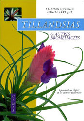 TILLANDSIAS &AMP; AUTRES BROMÉLIACÉES 1