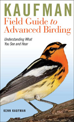 KAUFMAN FIELD GUIDE TO ADVANCED BIRDING. UNDERSTANDING WHAT YOU SEE AND HEAR 1