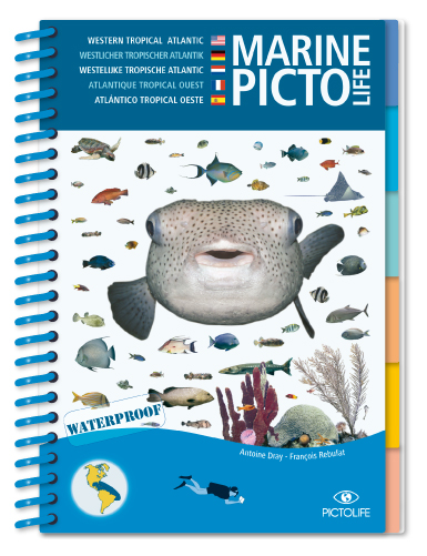 MARINE PICTOLIFE. WESTERN TROPICAL ATLANTIC 1