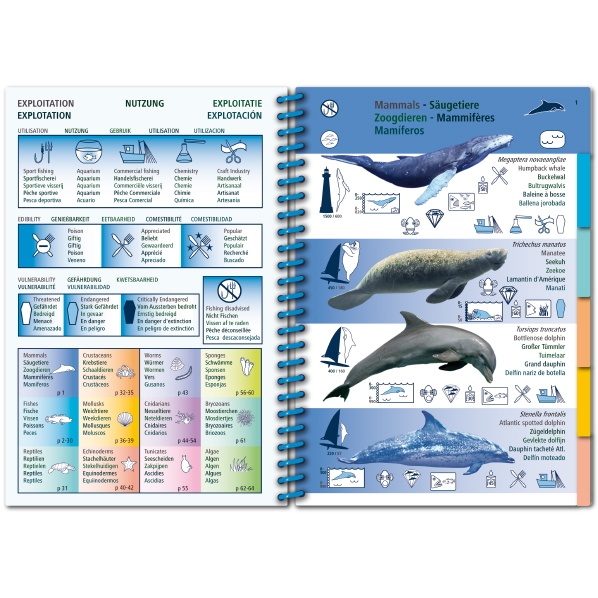 MARINE PICTOLIFE. WESTERN TROPICAL ATLANTIC 2