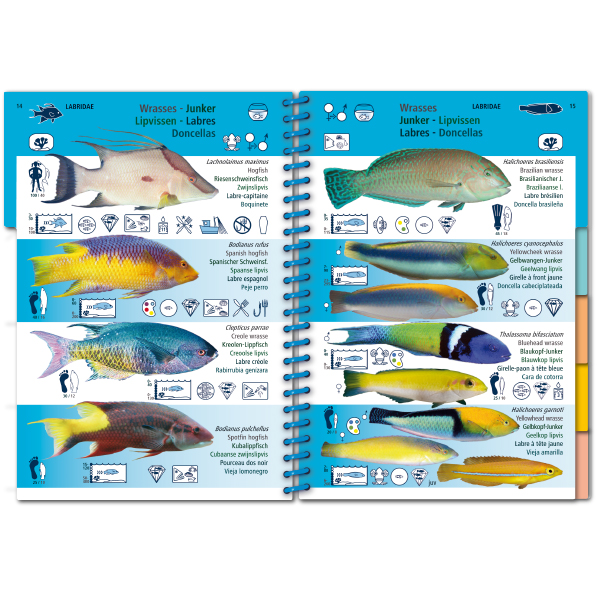 MARINE PICTOLIFE. WESTERN TROPICAL ATLANTIC 3