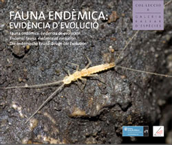 FAUNA ENDÈMICA: EVIDÈNCIA D'EVOLUCIÓ. FAUNA ENDÉMICA: EVIDENCIA DE EVOLUCIÓN. ENDEMIC FAUNA: EVIDENCE OF EVOLUTION 1