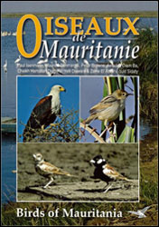 OISEAUX DE MAURITANIE/BIRDS OF MAURITANIA 1