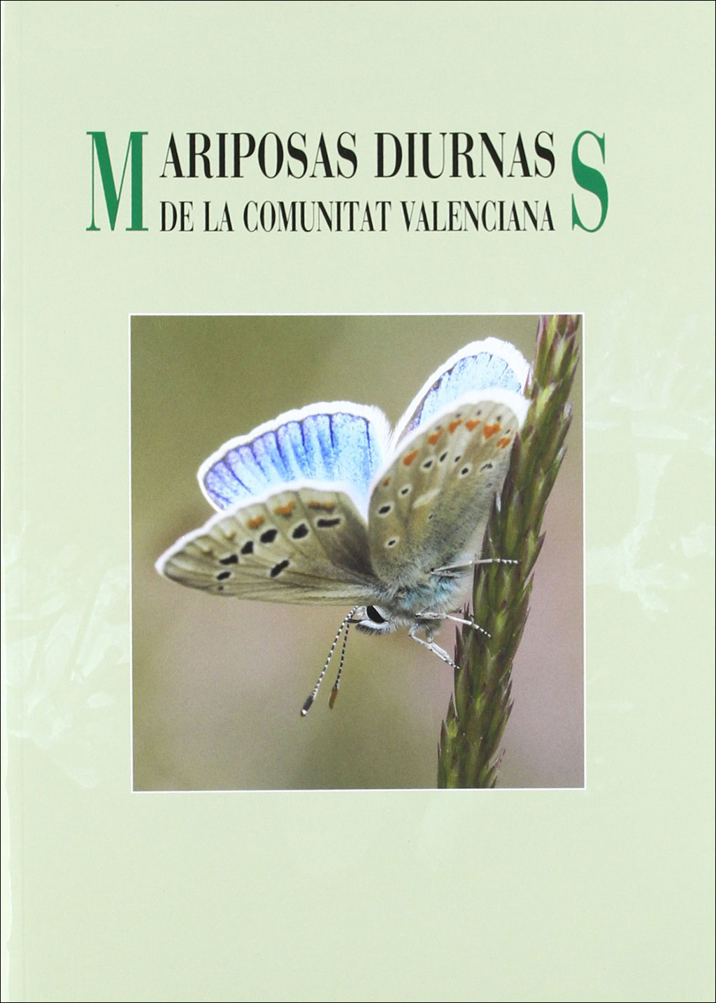 MARIPOSAS DIURNAS DE LA COMUNITAT VALENCIANA 1