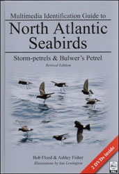 MULTIMEDIA IDENTIFICATION GUIDE TO NORTH ATLANTIC SEABIRDS: STORM-PETRELS &AMP; BULWER'S PETREL 1