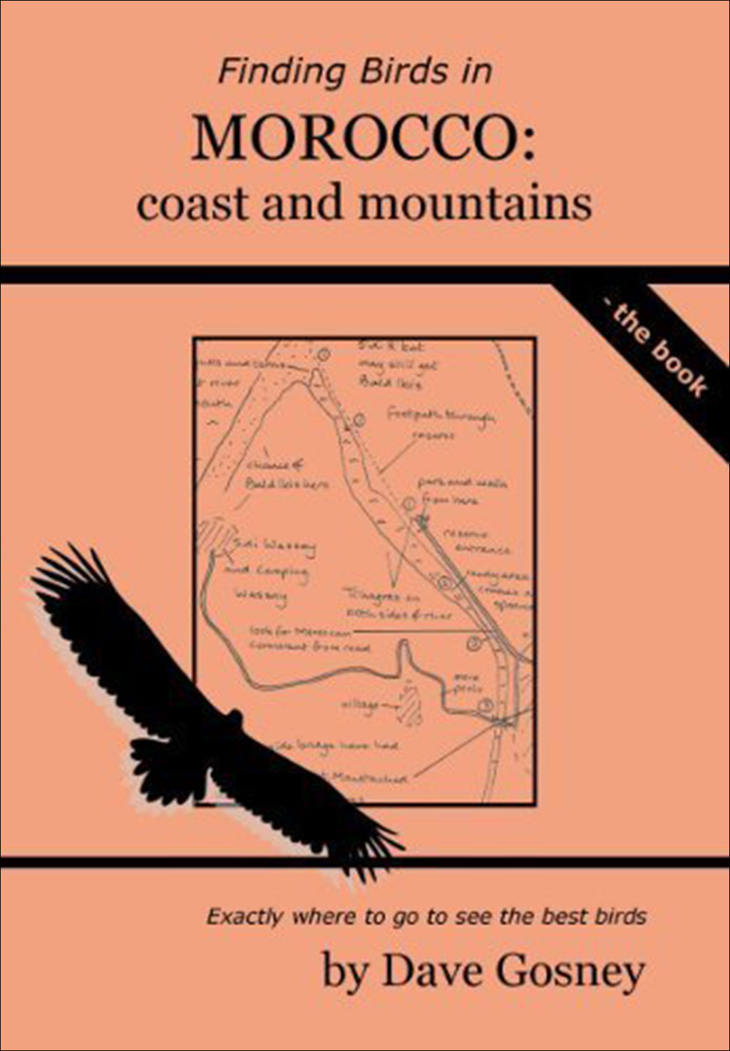 FINDING BIRDS IN MOROCCO. COAST AND MOUNTAINS 1