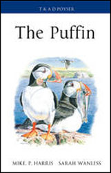 THE PUFFIN 1