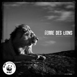 TERRE DES LIONS 1