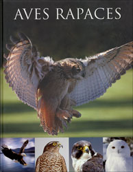AVES RAPACES 1