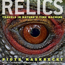 RELICS. TRAVELS IN NATURE'S TIME MACHINE 1