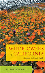 WILDFLOWERS OF CALIFORNIA. A MONTH-BY-MONTH GUIDE 1