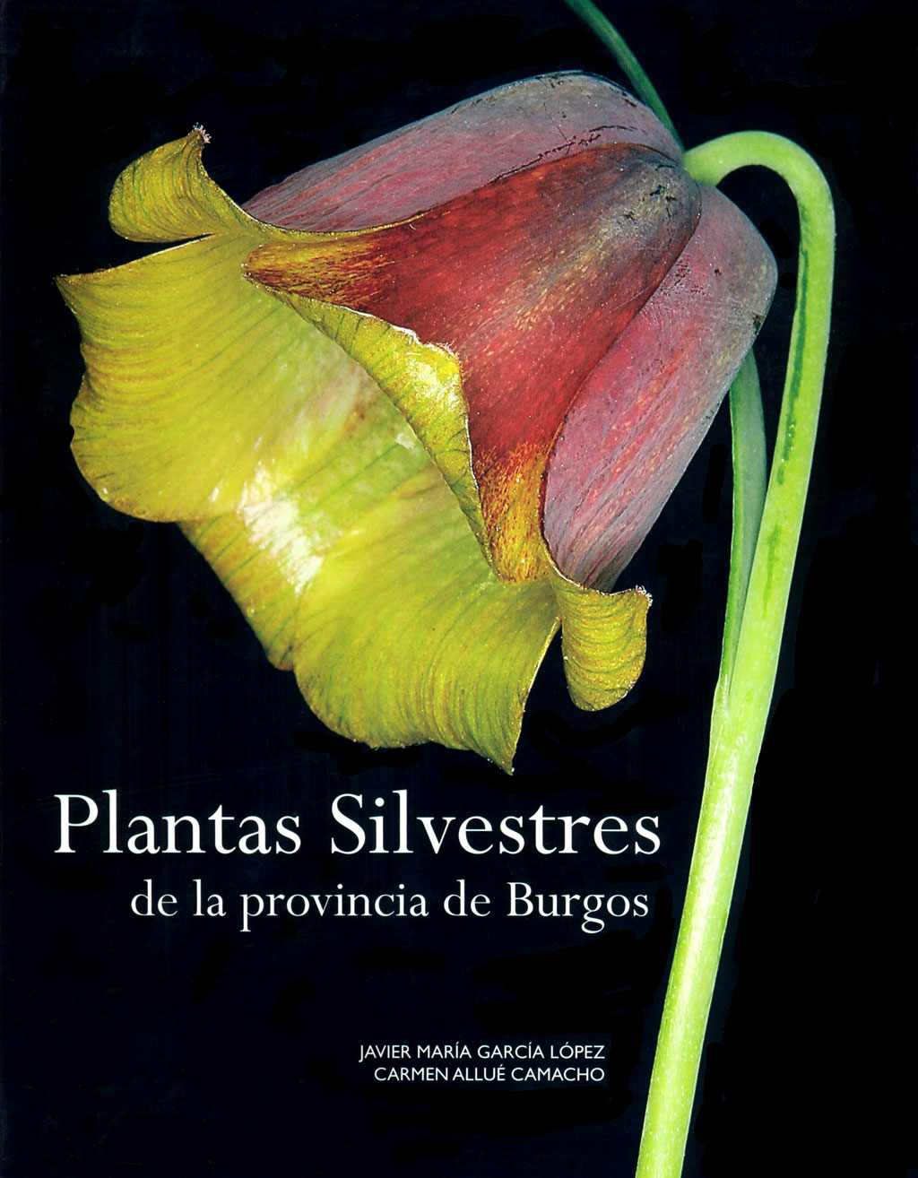 PLANTAS SILVESTRES DE LA PROVINCIA DE BURGOS 1