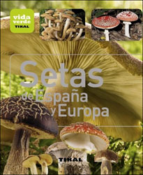 SETAS DE ESPAÑA Y DE EUROPA 1