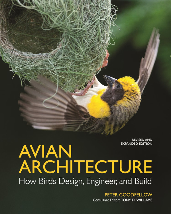AVIAN ARCHITECTURE. HOW BIRDS DESIGN, ENGINEER, AND BUILD 1