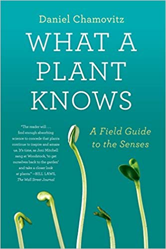 WHAT A PLANT KNOWS. A FIELD GUIDE TO THE SENSES. UPDATED AND EXPANDED EDITION 1