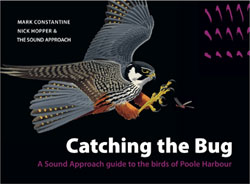 CATCHING THE BUG 1