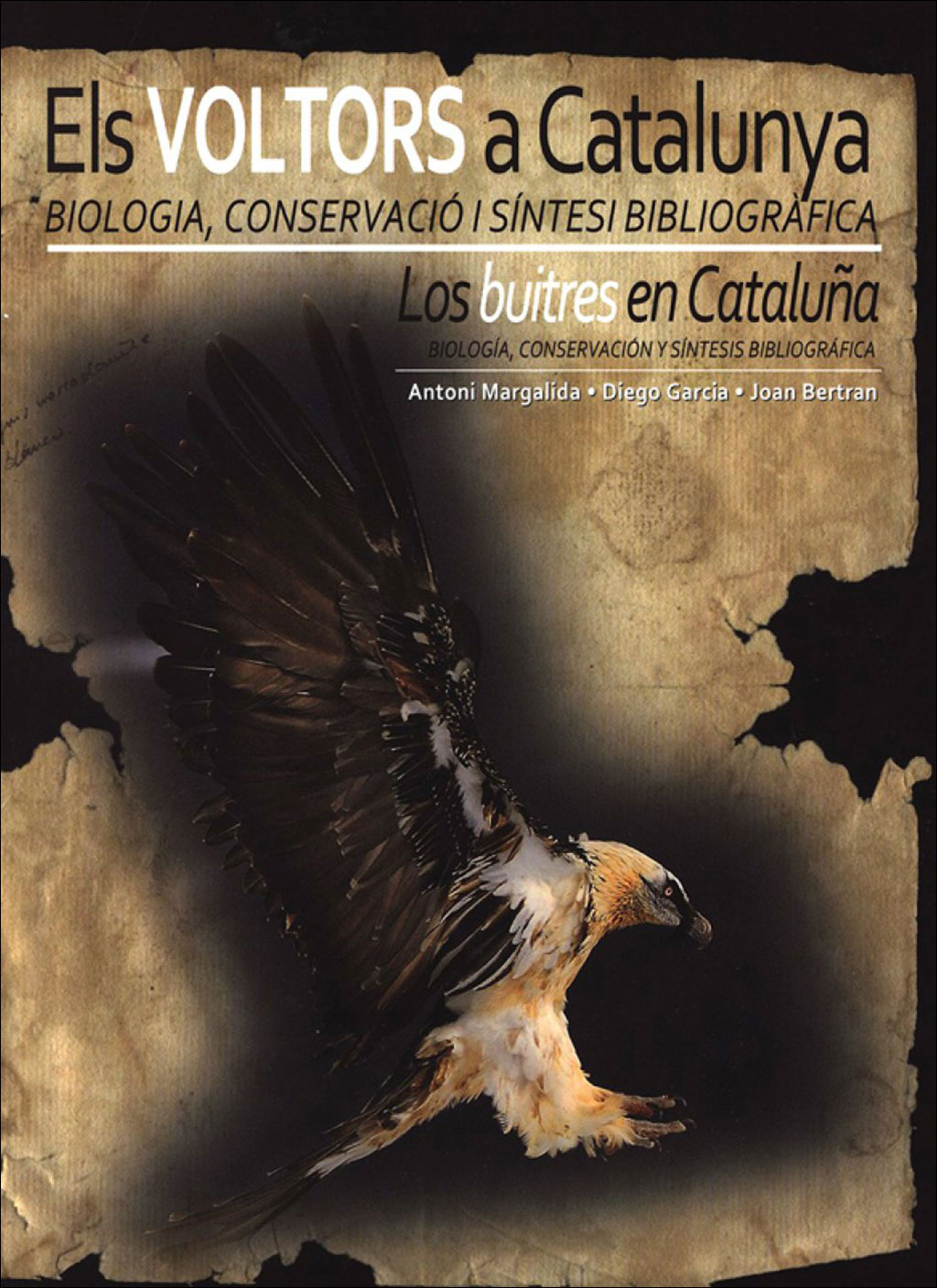 ELS VOLTORS A CATALUNYA. BIOLOGIA, CONSERVACIÓ I SÍNTESI BIBLIOGRÀFICA - LOS BUITRES EN CATALUÑA, BIOLOGÍA, CONSERVACIÓN Y SÍNTESIS BIBLIOGRÁFICA 1