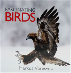 FASCINATING BIRDS 1