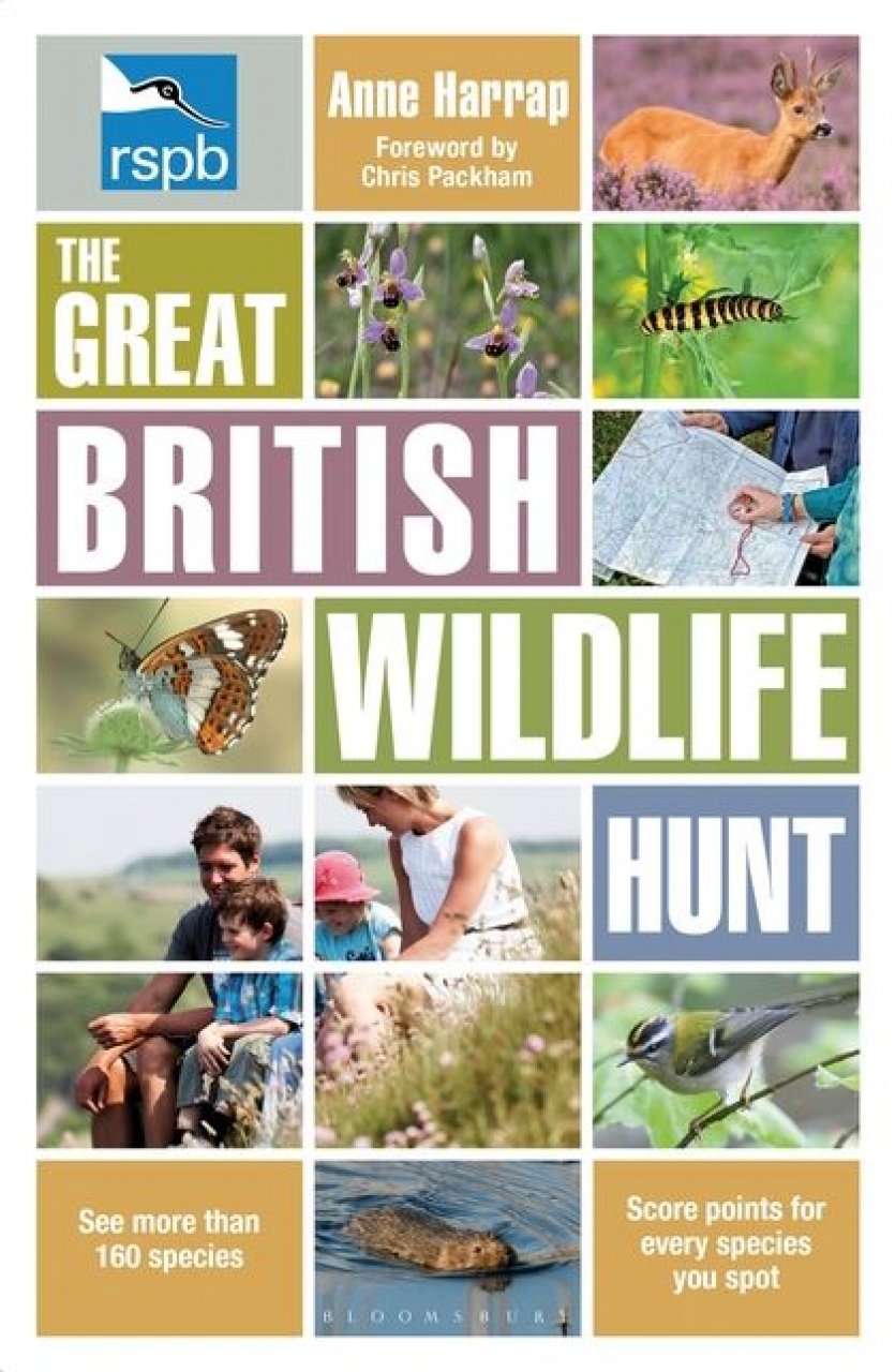 RSPB THE GREAT BRITISH WILDLIFE HUNT 1
