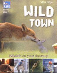 WILD TOWN 1