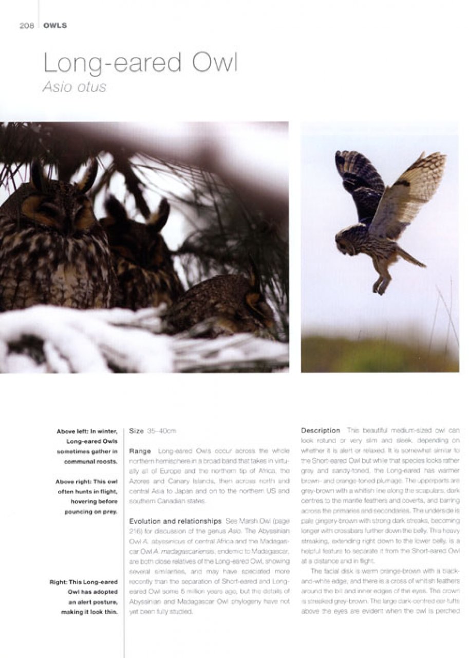 OWLS 3