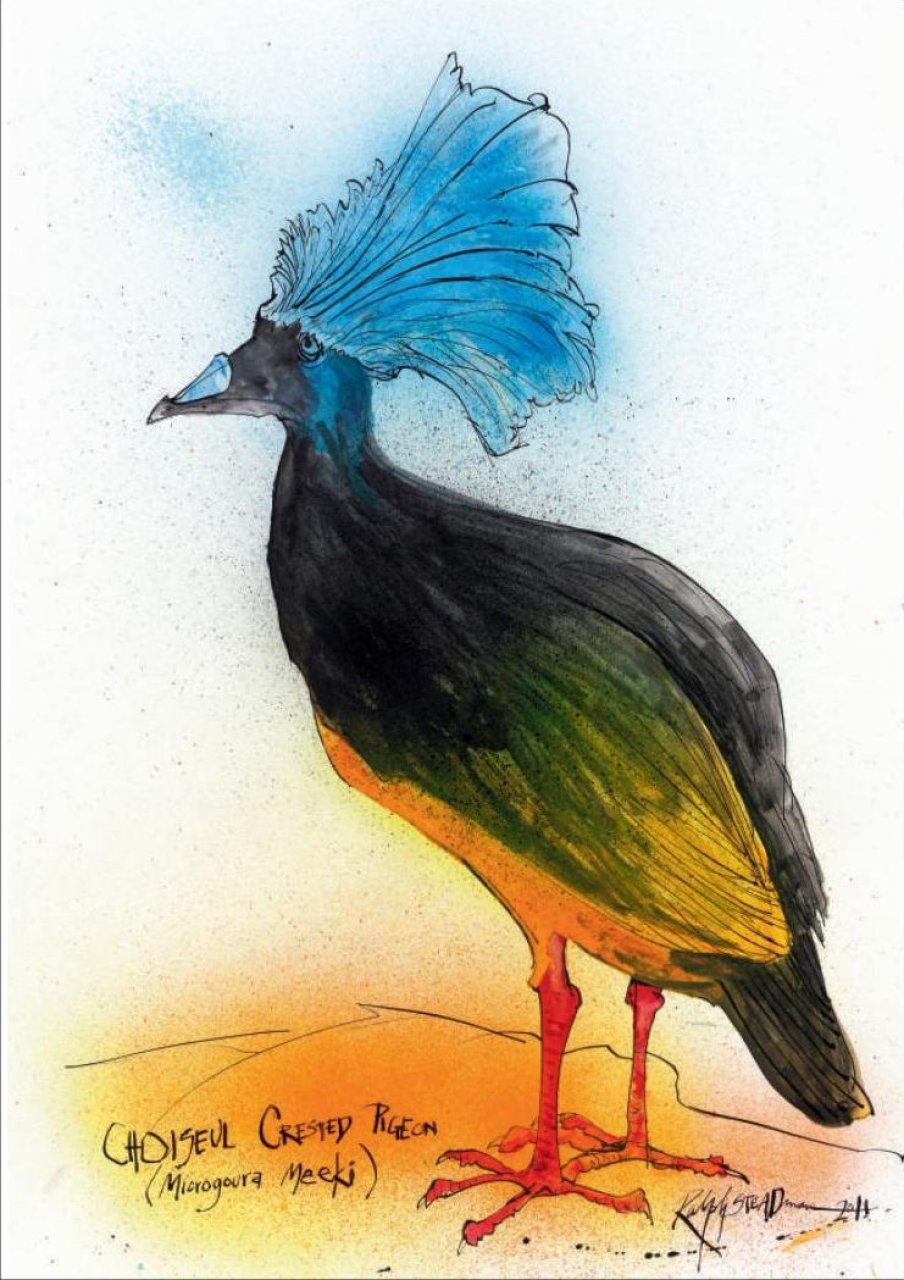 EXTINCT BOIDS 4