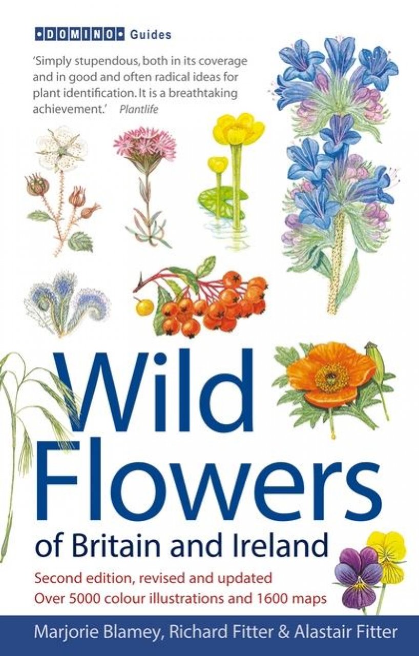 WILD FLOWERS OF BRITAIN AND IRELAND 1