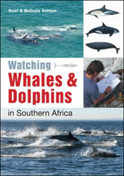 WATCHING WHALES AND DOLPHINS IN SOUTHERN AFRICA 1