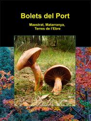 BOLETS DEL PORT I. MAESTRAT, MATARRANYA, TERRES DE L'EBRE 1