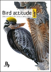 BIRD ATTITUDE. LE COMPORTEMENT DES OISEAUX EN 7 NOUVELLES ILLUSTRÉES D'AQUARELLES, DE POÈMES ET DE CALLIGRAPHIES 1