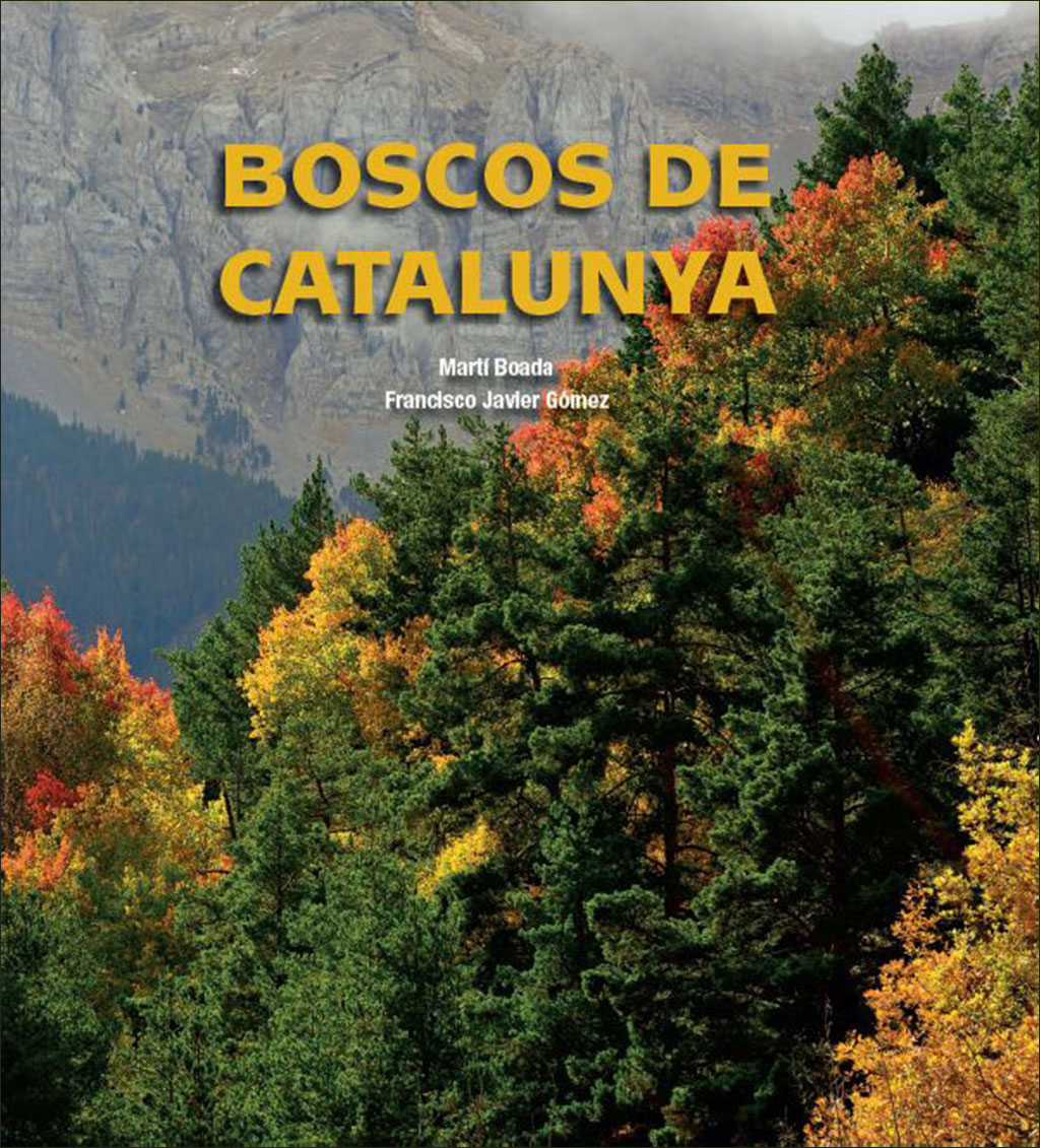 BOSCOS DE CATALUNYA 1