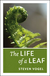 THE LIFE OF A LEAF 1