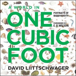A WORLD IN ONE CUBIC FOOT. PORTRAITS OF BIODIVERSITY 1