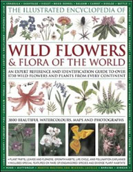 THE ILLUSTRATED ENCYCLOPEDIA OF WILD FLOWERS &AMP; FLORA OF THE WORLD 1
